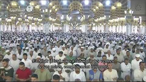 تراويح ليلة 13 رمضان 1437   سورة النحل   56 آخرها   الشيخ عبدالمحسن القاسم   YouTube