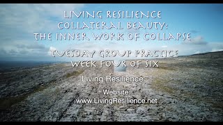 Collateral Beauty Course - Tuesday Group Practice S4 - APRIL 30