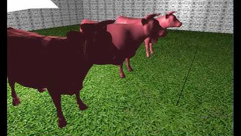 Shading and Illumination