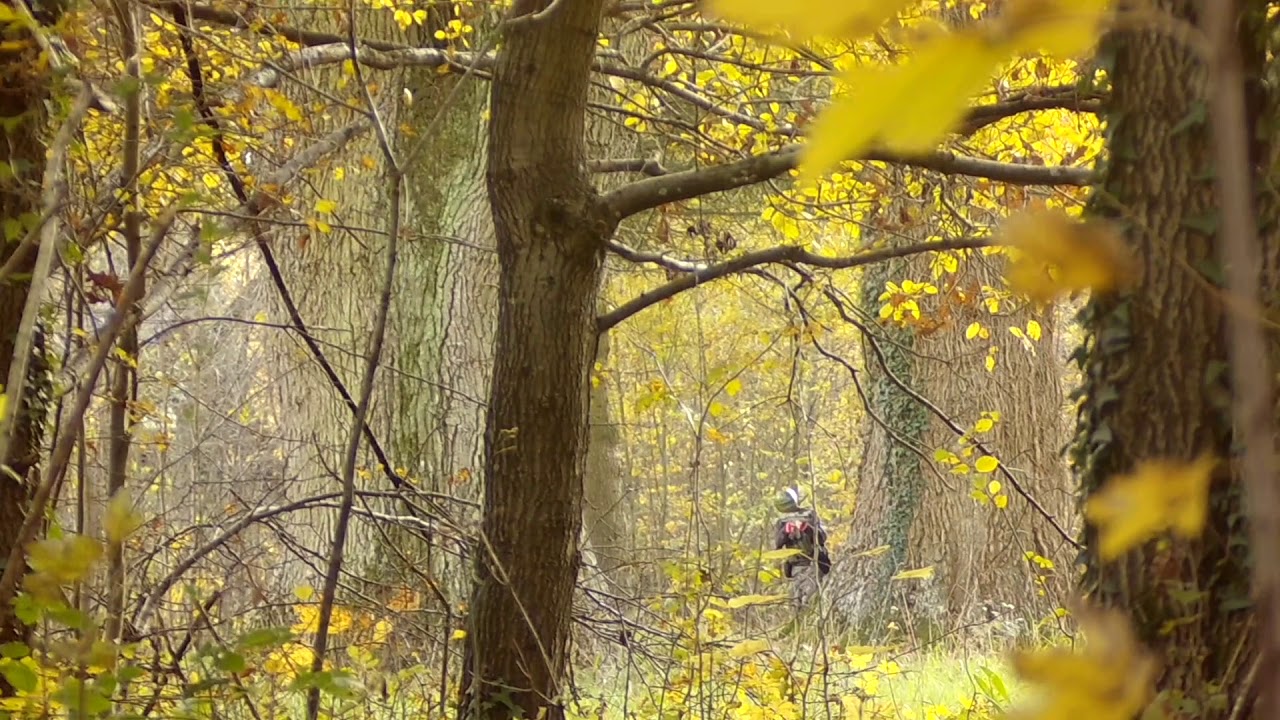 Ryu # Sniper wolverine blot wraith co2 - scope cam