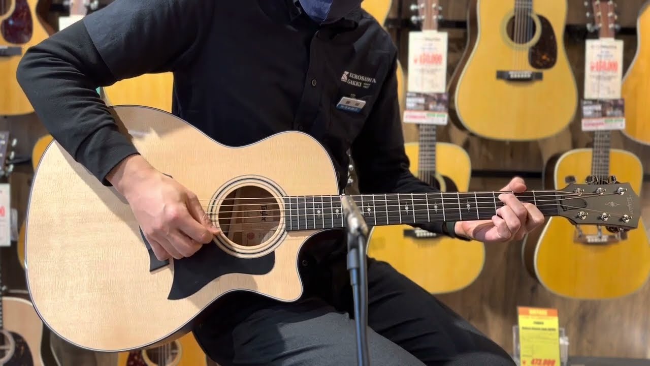 meromu 光栄堂 taylor 314ce Vクラス 日本限定仕様 超美品 光栄堂 taylor