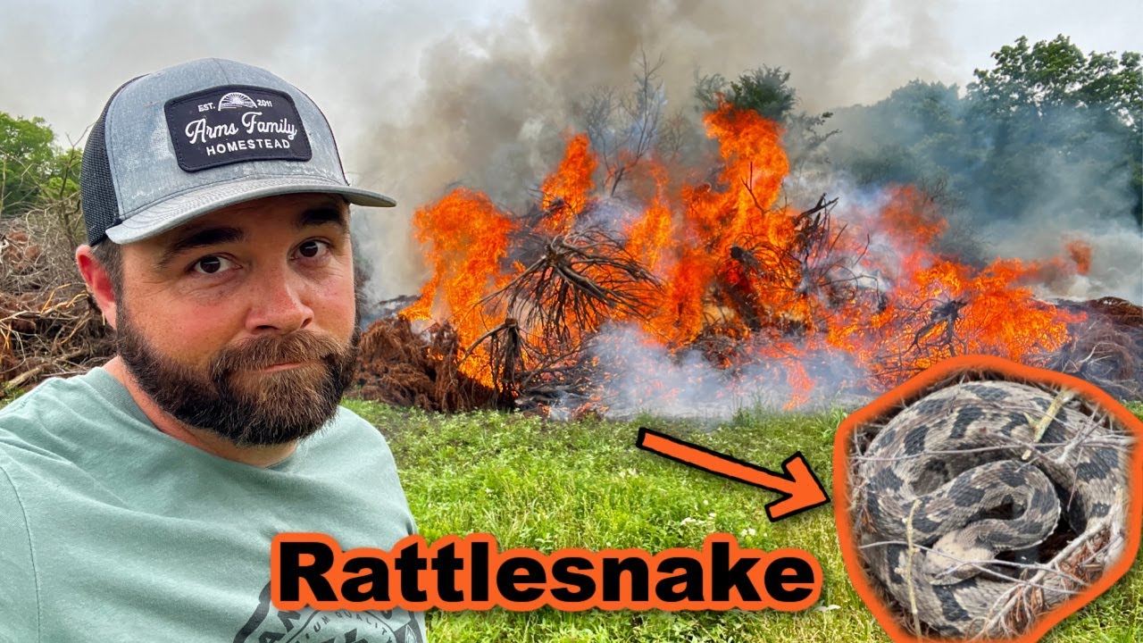 Things Went BAD Quickly! HUGE Rattlesnake!