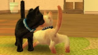 Nintendogs + Cats Cat Stretches Weirdly
I think this one is an hshop download, not sure if those roms are more glitchy than they should be. Anyways I caught this while streaming. Lots of odd things have been happening with +Cats since I brought back Nintendogs Live!
This is from a Nintendogs Live stream, so the quality is slightly lower. The stream won’t save the footage, so here it is on its own
Nintendogs playlist: https://youtube.com/playlist?list=PLhZBBm8nNgltJZOhhHYXR69NWhPZfC9EM&si=wsAGlUIZBp-2y9Gi
Nintendogs Live playlist: https://youtube.com/playlist?list=PLhZBBm8nNglvuMdS0uxL9swUFfJgEI8qp&si=n7jfom9cpgAcX5BI Nintendogs + Cats Cat Stretches Weirdly