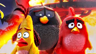 豚が卵を全部盗む アングリーバード | 映画シーン 🔥 4K