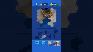 Hex Block Jigsaw - CAT Level 1 - 25 Walkthrough screenshot 1