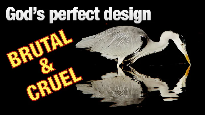 If God exists why is nature so brutal?