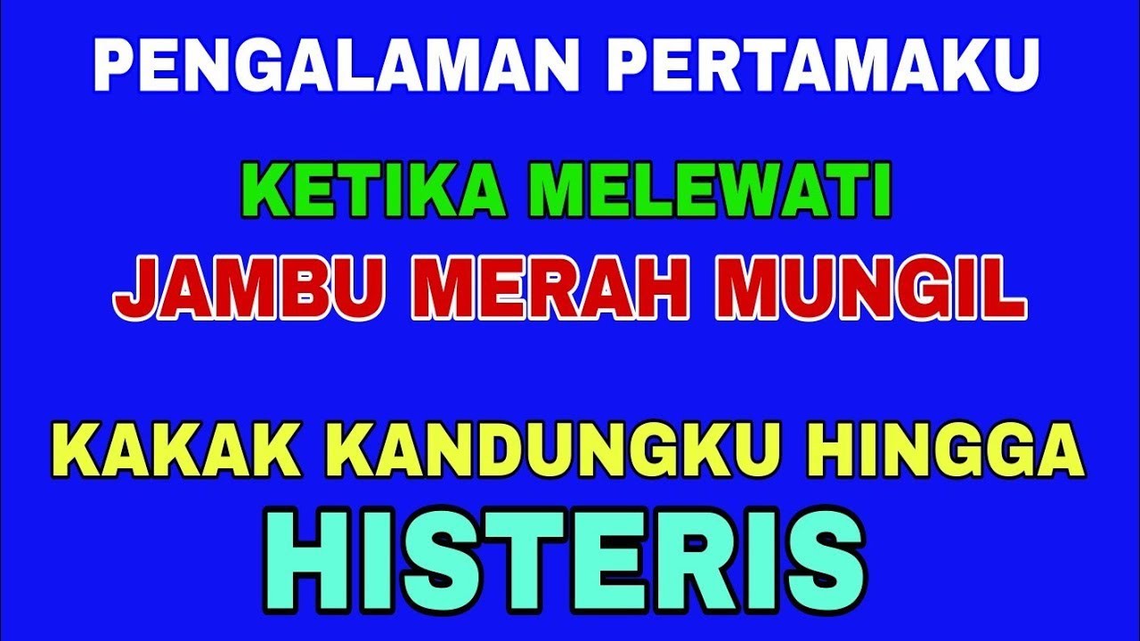 Berawal Ketika Kakaku Salah Masuk Kamarku || Kisah Nyata Terbaru