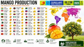 Top Largest MANGO-Producing Countries in the World