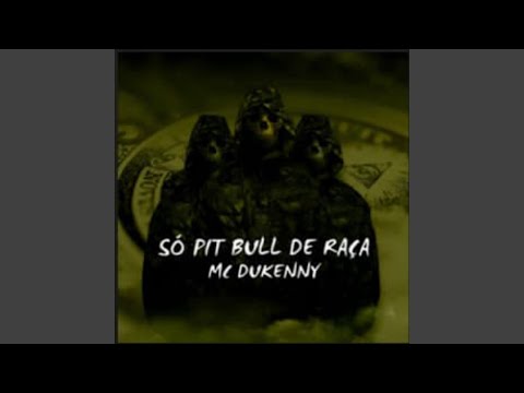 Só Pit Bull De Raça