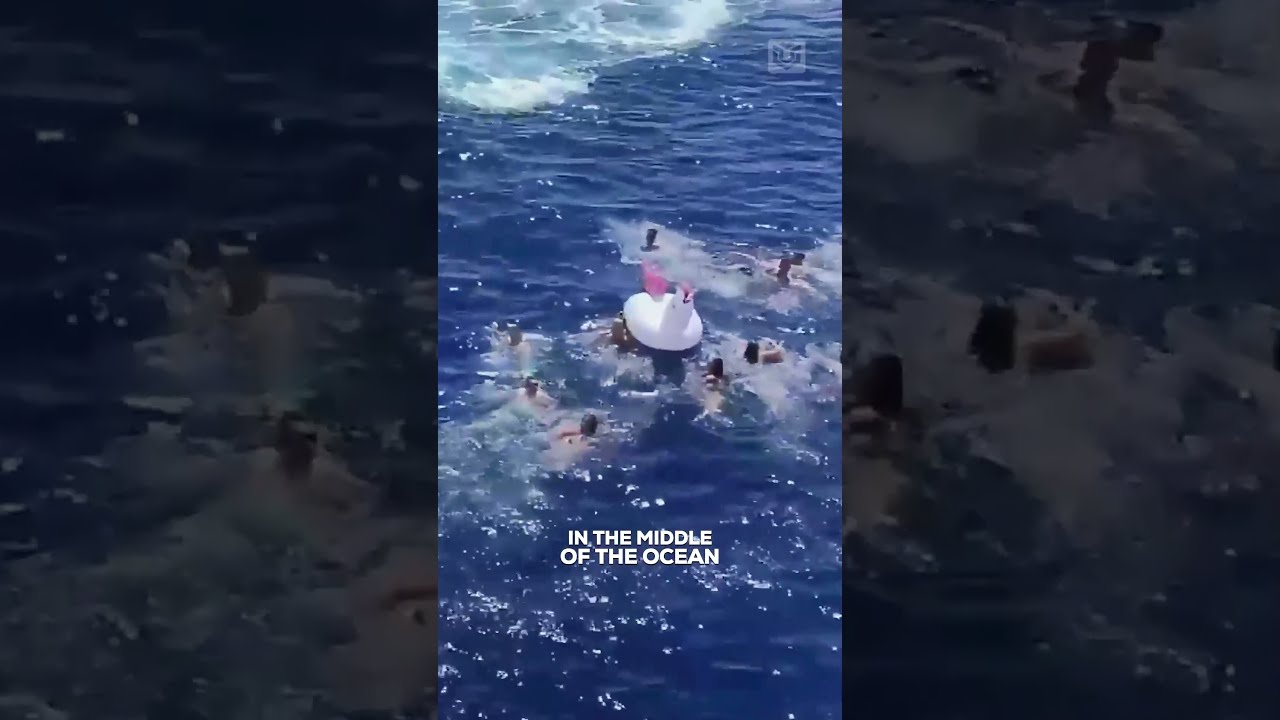 You Might Meet A Shark If You Swim Here