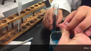 Lab Act 2 Scientific method & Classification of Matter