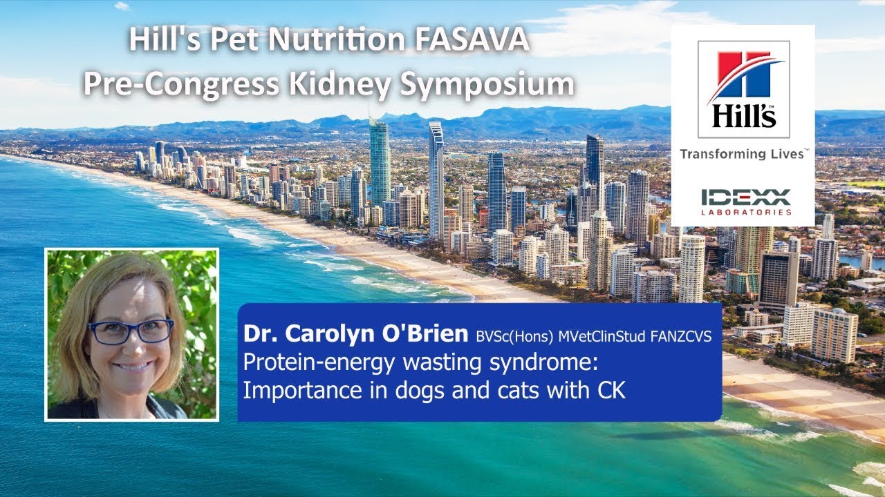 PROMO: Protein-energy wasting syndrome: Importance in dogs and cats with CKD - Dr Carolyn O'Brien