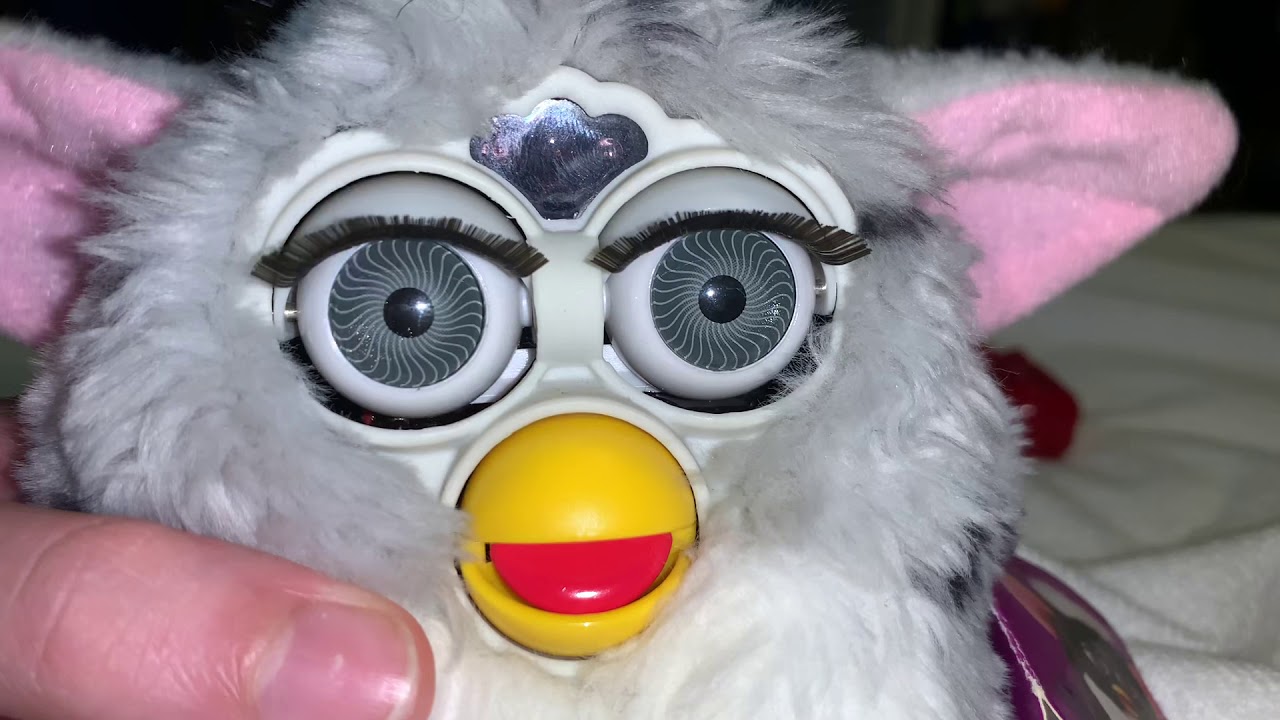 hi c furby