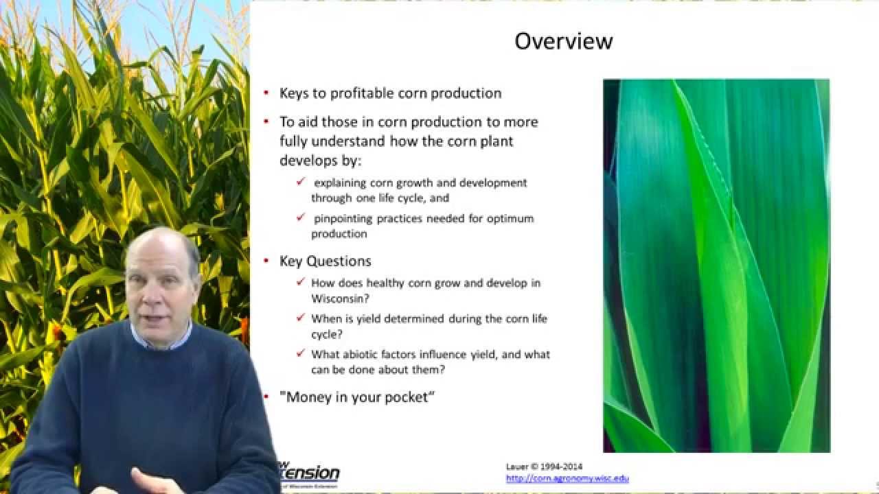 Corn Yield in Wisconsin and the US (corn, part 1/3)