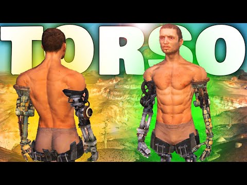 The Legend of Torsolo  | Kenshi - The TORSO SOLO Experience #10