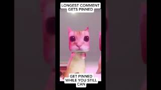 Celebrity istg if someone does the full bee movie script #tiktokeffects #funny #memes #cat Profile