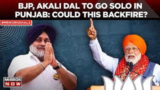 Lok Sabha Elections | BJP, Akali Dal To Go Solo In Punjab, How Will This Impact Them? | Latest News