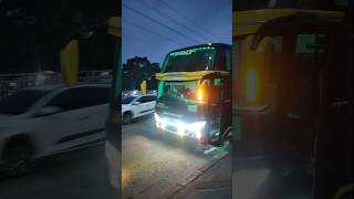 Download Lagu Sudiro Tungga Jaya #stj era #tunasmuda hunting bus #teloletbasuri #busmania MP3 Download Lagu Sudiro Tungga Jaya #stj era #tunasmuda hunting bus #teloletbasuri #busmania MP3