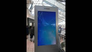 Windows error and BSOD in funny places