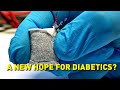 The implantable blood sugar fuel cell that could help people with diabetes