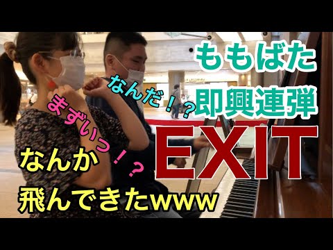 【ももばた即興連弾】ノリノリで「EXIT」を連弾したらなんか飛んできたwwww