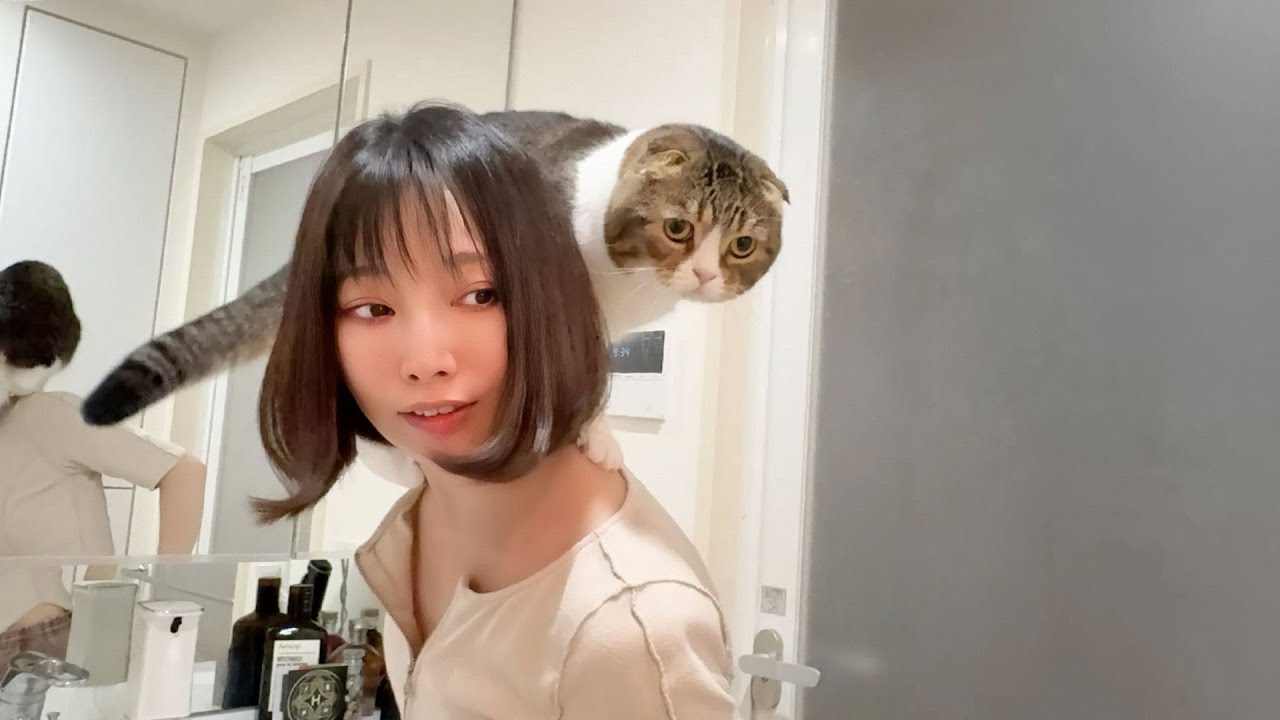 ママが元気になったのが嬉しくてついつい背中にくっついてしまう猫！