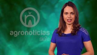TITULARES AGRONOTICIAS sie7e PROGRAMA 31