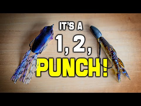 How to Fish the Frog Punch Combo- bass strategy - YouTube Kurt Mazurek