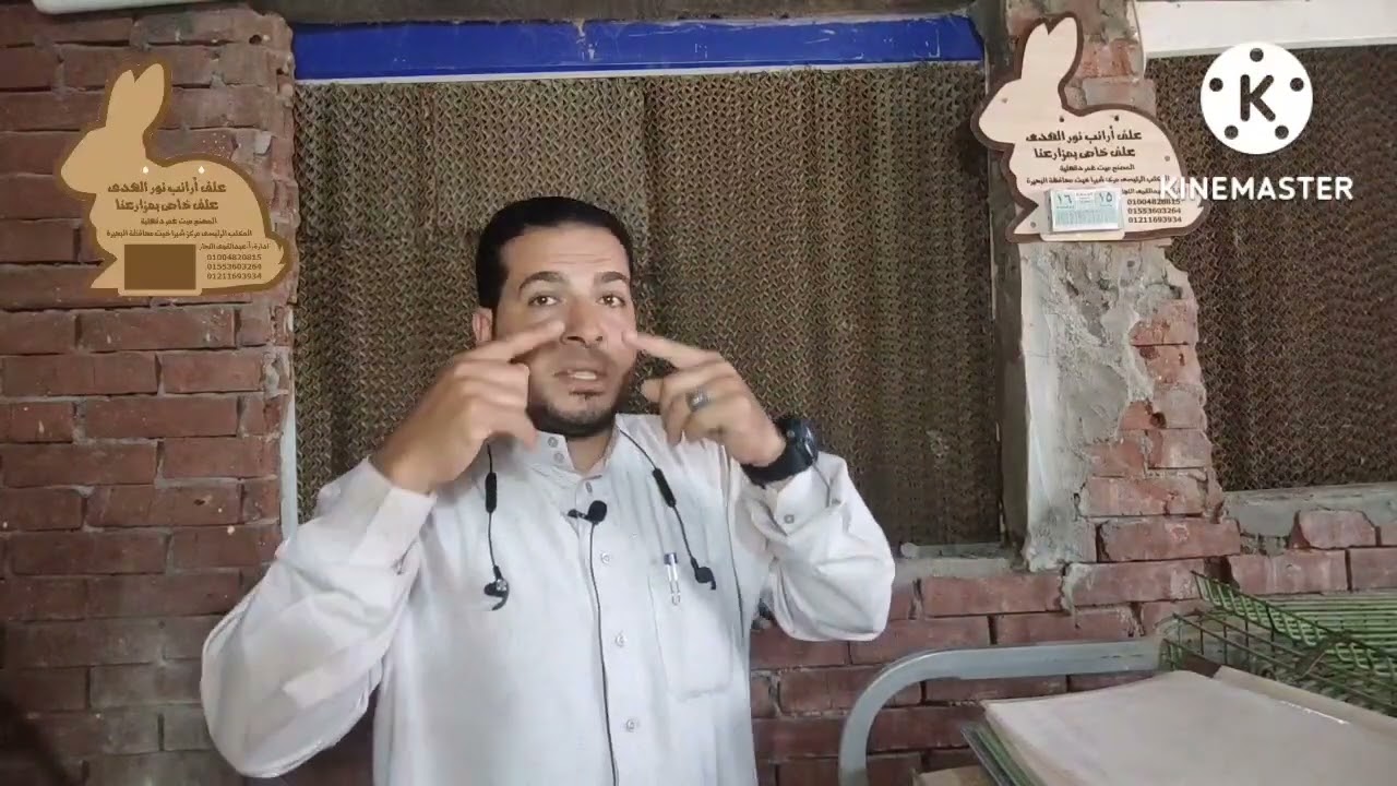 مرض الرياله عند الأرانب أسبابه وعلاجه