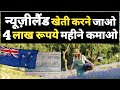 New Zealand Agriculture visa Farming Job How To apply for farming job Work Visa work permit salary