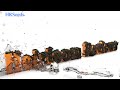 Beginning of video