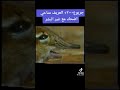 اضحك مع غير البشر