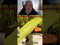 Grounded 2 punished my confidence instantly #grounded2 #gamingshorts #survivalgame #funnygaming