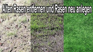 Alten Rasen Einfach Entfernen & Rasen Neu Anlegen - So Gelingt's!