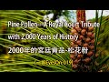 [一瞥EyesOn-019] 2000年的宮廷貢品-松花粉/A Royal Court Tribute with 2,000 Years of History#withme#stayhome