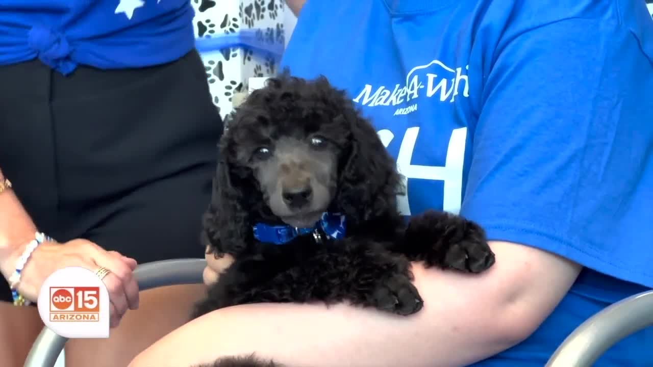 Wish Wednesday: 13-year-old Scarlett meets her new best friend!