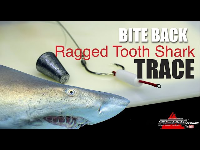 Shark Trace Rig - Game Fishing