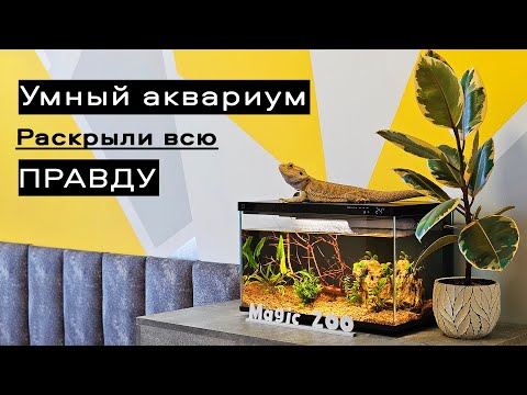 Видео: Умный аквариум Xiaomi. Стоит ли покупать? Плюсы и минусы.