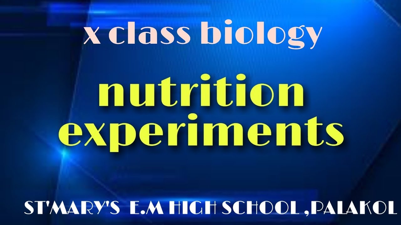 Nutrition experiments - YouTube