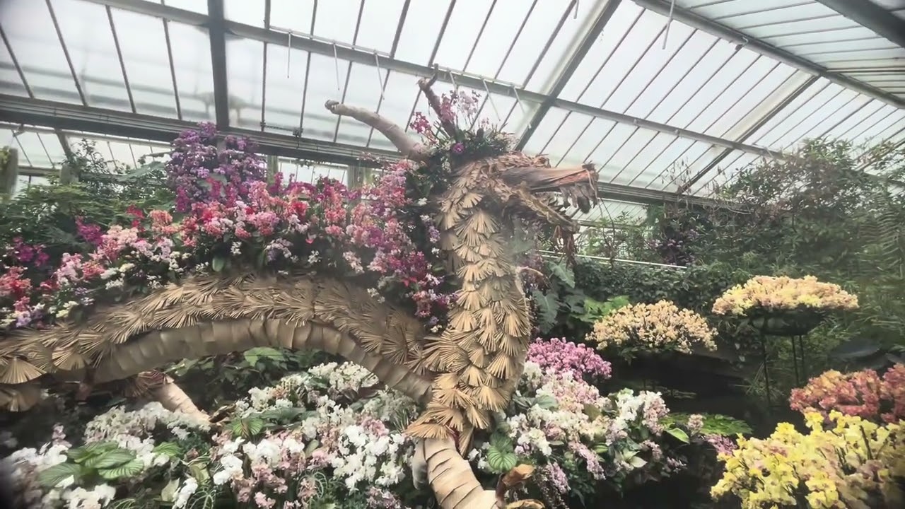 Orchid festival at Kew Gardens 