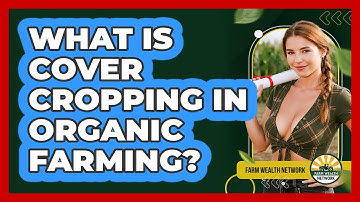 What Is Cover Cropping In Organic Farming? - Farm Wealth Network