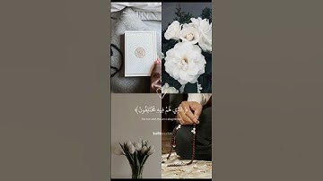 سورة النبأ تلاوة خاشعة للقارئ عبد الرحمن مسعد