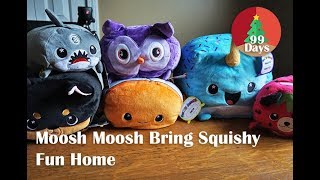 Moosh Moosh Bring Squishy Fun Home