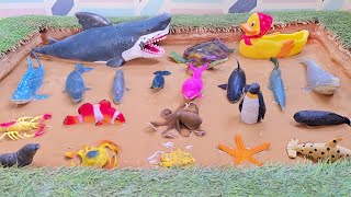 The Epic Story of Deadly Sharks, Turtles, Ducks and Ocean Sea Animals in Sandbox