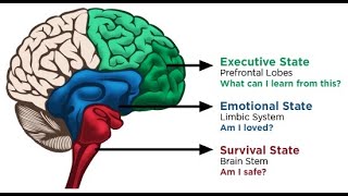 Implicit Bias in Policing - A psychological perspective