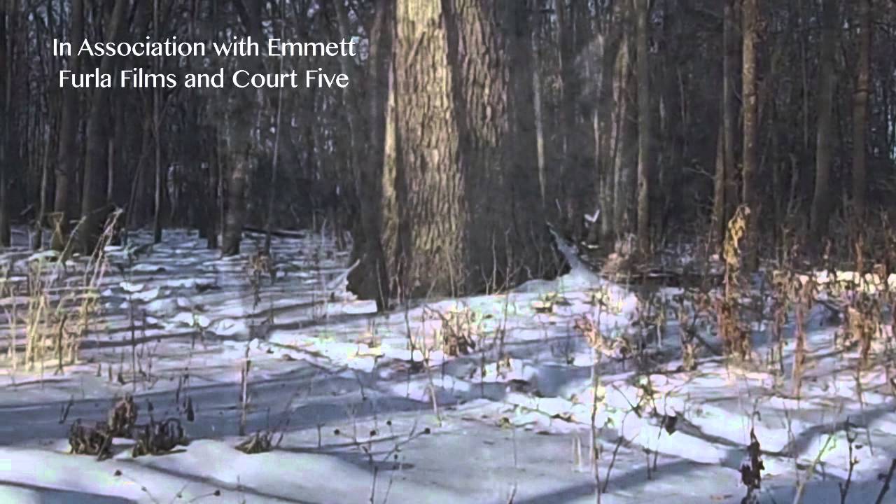 Frozen Ground YouTube