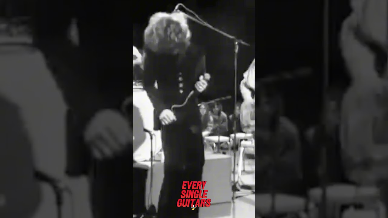 When You’ve Got Nothing Left to Prove… You Play Like THIS 👑🎶 #classicrock