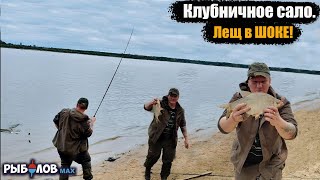 видео: Попал на раздачу осеннего леща. Клубничное сало для леща. Лещ на сало осенью. Рыбалка ночью на Волге картинка: Попал на раздачу осеннего леща. Клубничное сало для леща. Лещ на сало осенью. Рыбалка ночью на Волге