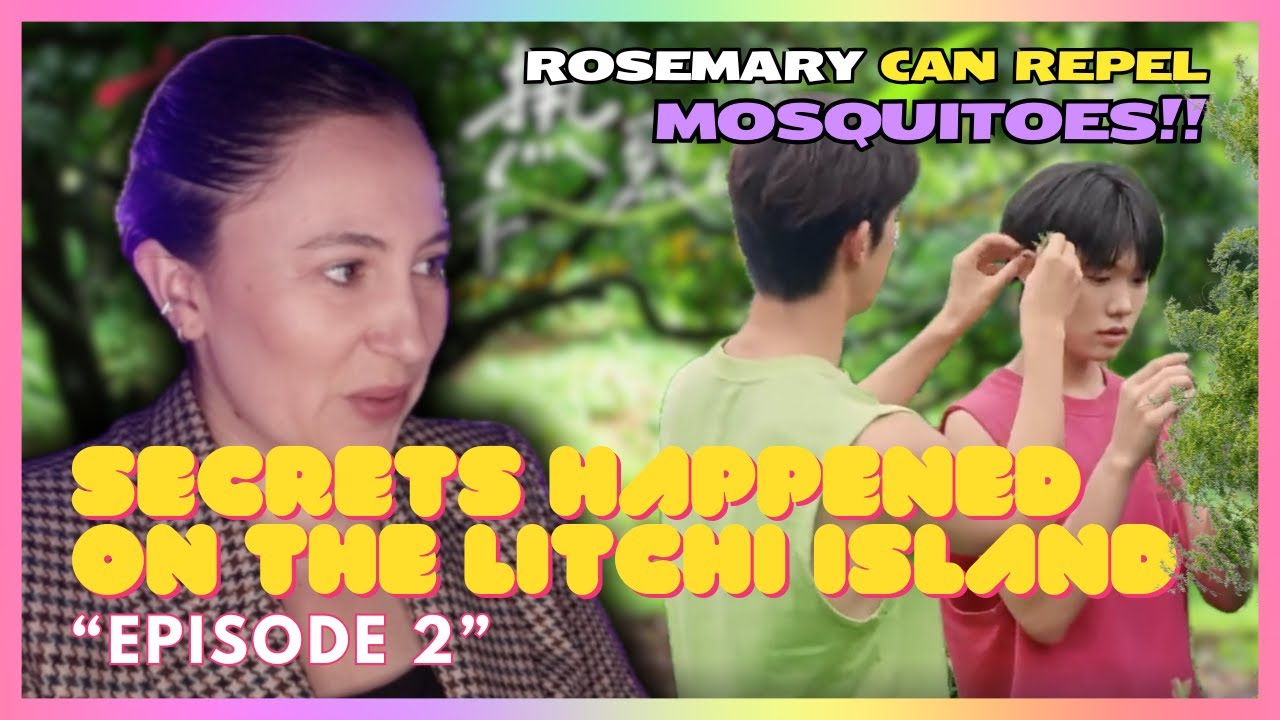 Secrets Happened On The Litchi Island (荔枝树下热烈岛) | Episode 2 | MireiaTV