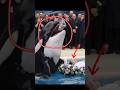Sad News Jessica And Dolphin Jessica Is No More Jessica Orca Attack JessicaRadcliffeOrca Sad News Jessica And Dolphin Jessica Is No More Jessica Orca Attack JessicaRadcliffeOrca